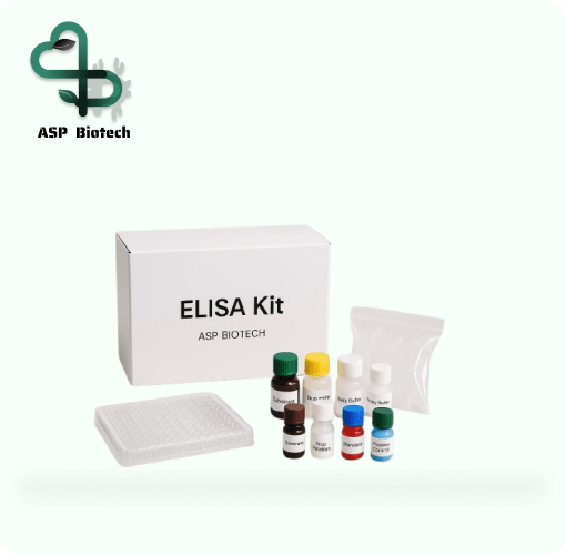 HIV Ag-Ab